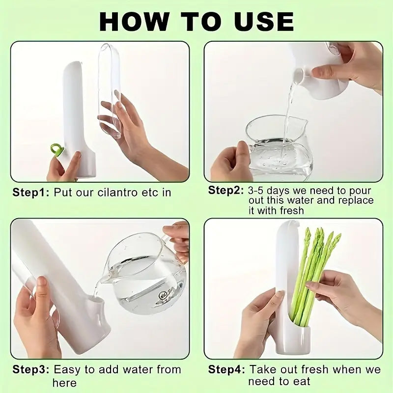 Fresh Herb Keeper Saver Storage Container