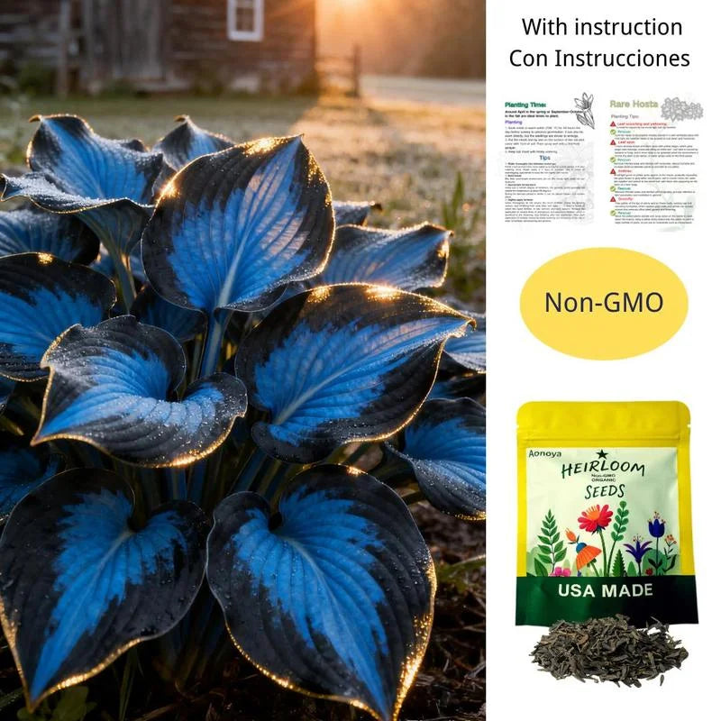 Premium Rare Hosta Seeds - Shade Plant for Garden
