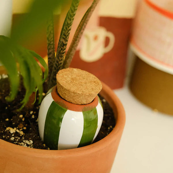 Olla - Léopard Macchiato
